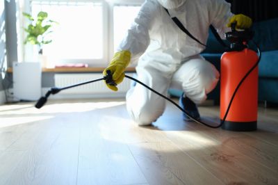 Cost of Pest Control in Granbury, TX