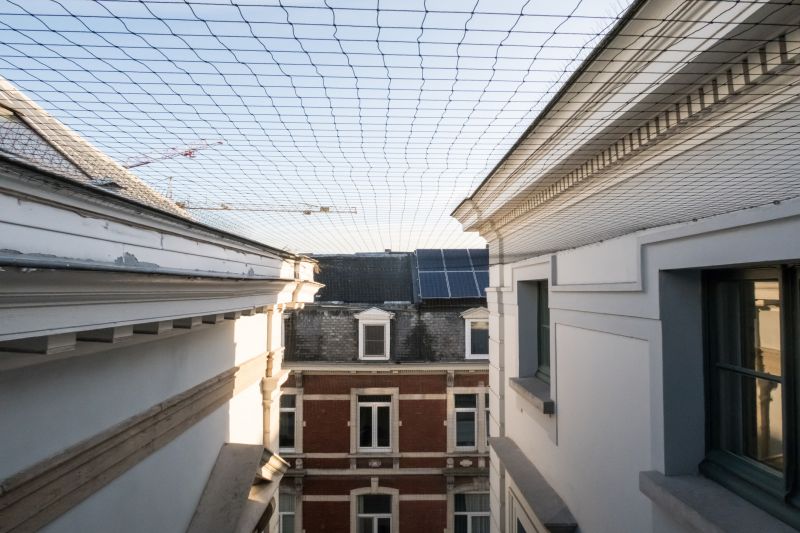 Roof Bird Proofing Service